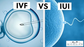 IUI vs IVF: What