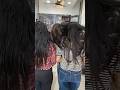 Transformation by @jyotidusane233 #kerashinetreatment#hairtutorial #shortsyoutube #shorts