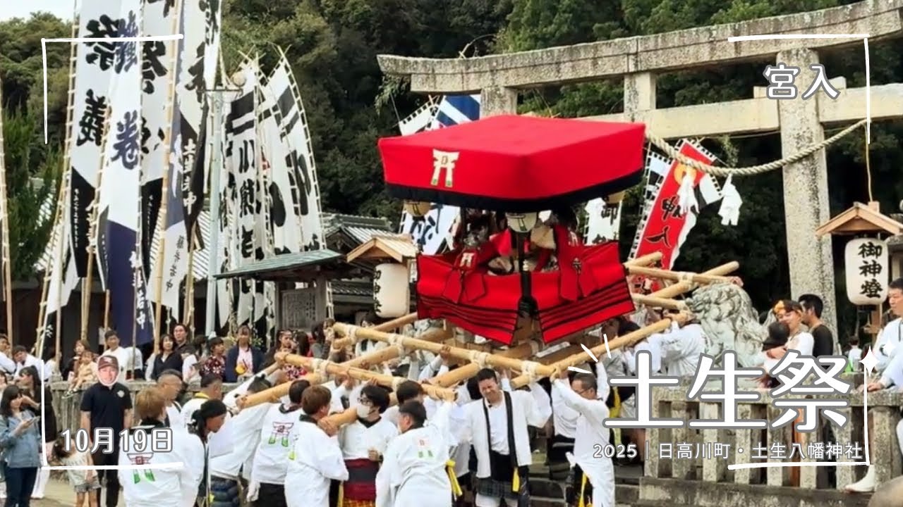 【土生祭2025（令7）】No.6｜ 宮入  2025.10.19
