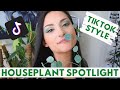 SHOWING MY HOUSEPLANTS TIKTOK STYLE | HOUSEPLANT SPOTLIGHT | Houseplant Collection Rare Houseplants