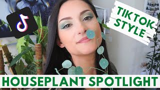 SHOWING MY HOUSEPLANTS TIKTOK STYLE | HOUSEPLANT SPOTLIGHT | Houseplant Collection Rare Houseplants