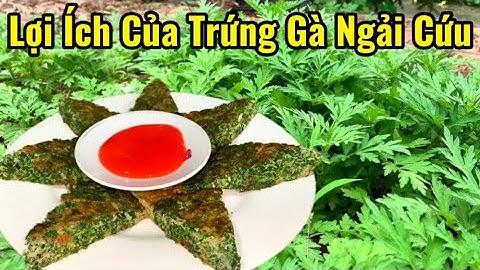 Lợi Ích Từ Trứng Gà Chiên Ngải Cứu  Với Sức Khoẻ Và Những Lưu ý | Rất Tốt Cho Phụ Nữ