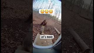 Wolf Fights Off Brown Bear to Protect Its Pup Caught On Camera#shorts