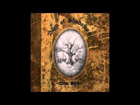 Useless Apologies - Zakk Wylde