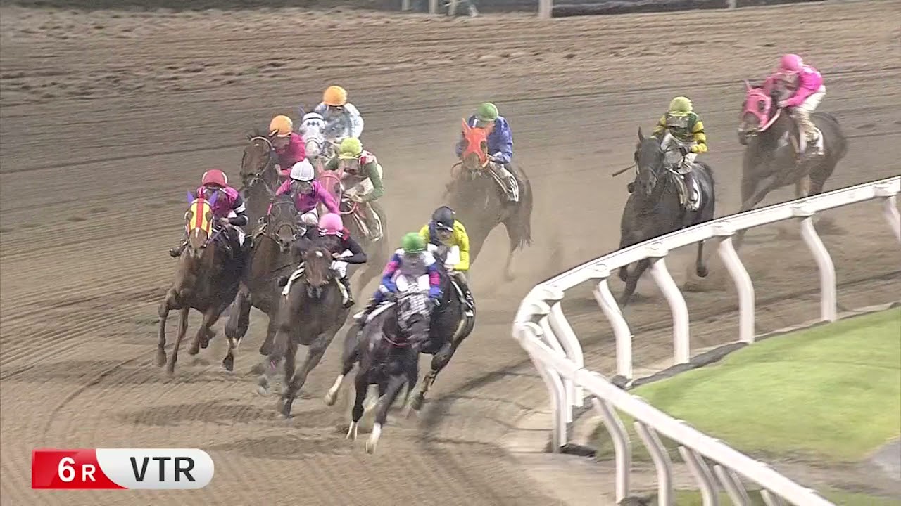 川崎競馬ダイジェスト 2021年10月13日 水 Youtube