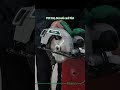 Electric Circular Saw