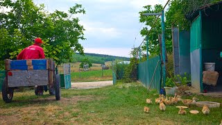 Life in a house on the outskirts of a village | How do people live in a village in Eastern Europe?