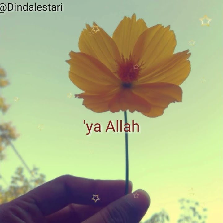 story wa islami | status wa islam | status wa motivasi