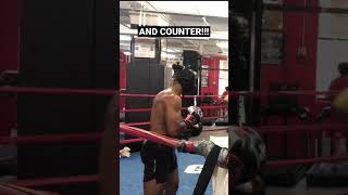 Sparring 🥊 A Really Aggressive Boxer