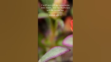 Thumbnail of Bible | Isaiah 49:11 | I will turn all my mountains i...