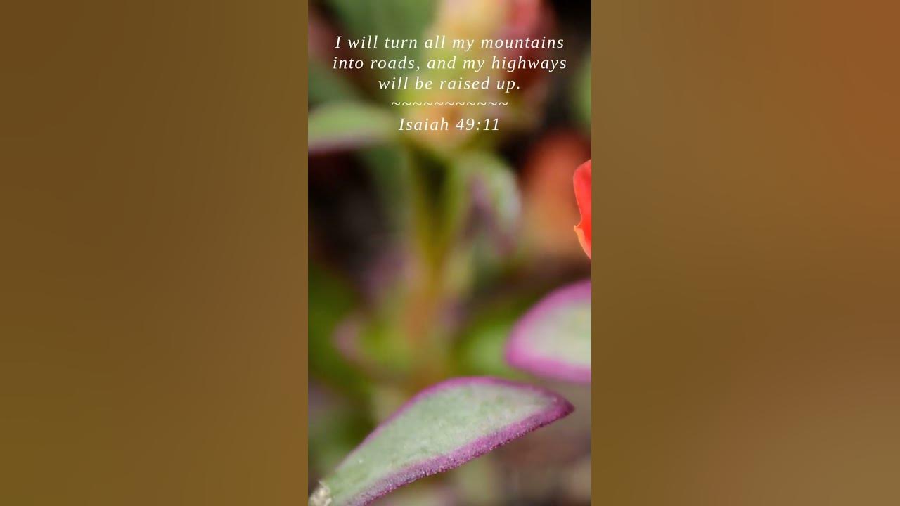 Bible | Isaiah 49:11 | I will turn all my mountains i...