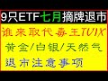 【突发】你有这些ETF吗?｜9只ETF下个月退市 你需要做什么 ｜美国股市投资理财攻略 ｜瑞士信贷恐慌指数ETF TVIX, 天然气UGAZ, DGAZ以及三倍多空黄金白银在美股高点退市/delist