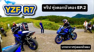 YZF R7 I ทริป ทุ่งดอกบัวตอง EP.2 (บรรยากาศทุ่งดอกบัวตอง)