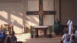 16th Sunday in Ordinary Time - July 19, 2026 - St. Matthew Parish Green Bay