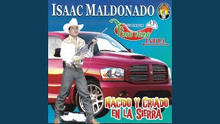 Video thumbnail of "Isaac Maldonado y Su Banda Pura Raza India - Mataron a La Paloma"