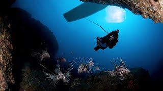 Invasive lionfish humanely stunned and caught by RSE Guardian LF1 robot