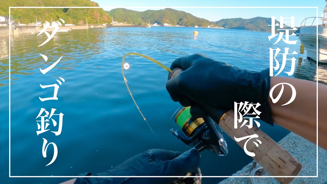 【ダンゴ釣り】堤防の際でのんびりダンゴ釣り。