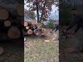 STIHL 500I ported! this saw never stops, impressing me. What a monster. #stihl #chainsaw #firewood