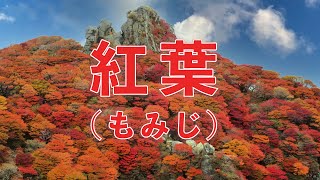 紅葉（もみじ）　歌：NEUTRINO（歌詞付き）