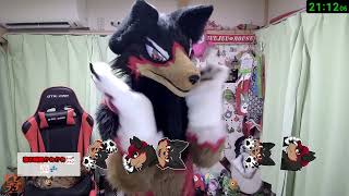 【Fursuit/獣化#148】木曜の夜のもふもふタイム🐶🐾【ジュージュー/JuuJuu】#fursuit #獣化 #live