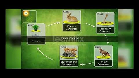 Interdependence of Organisms | Class 7  Science - Learnflix App