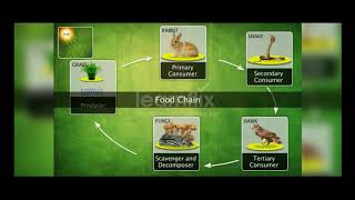 Interdependence of Organisms | Class 7  Science - Learnflix App screenshot 4
