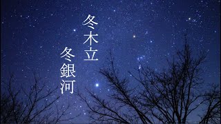 冬木立冬銀河（SONYα7SⅢリアルタイム星空動画）