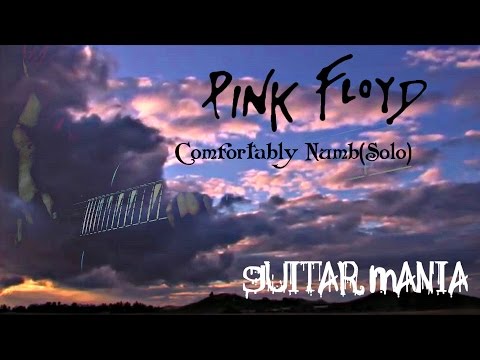 Guitar Mania #19 - Comfortably Numb(solo imprivisation) Pink Floyd cover