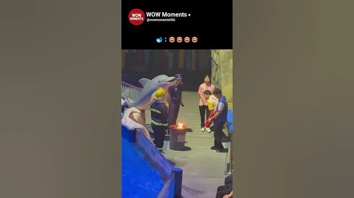 Wait for the end 😂😂 #shorts