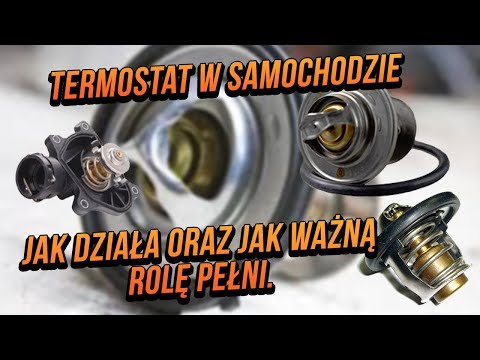 Wideo: Czy termostaty gniazdowe działają?