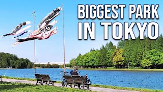 Biggest Park in Tokyo's 23 Wards: MIZUMOTO PARK (Full Tour) | JAPAN WALKING TOURS by Cory May 3,832 views 2 years ago 1 hour, 40 minutes