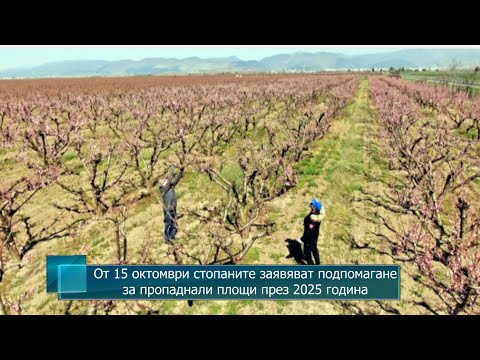 От 15 октомври стопаните заявяват подпомагане за пропаднали площи през 2025 година 