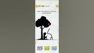Draw 2 save level 80 how can newton find the gravitation?