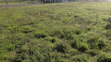 Z Pest Gopher X in Action