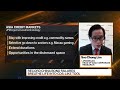 US Dollar Bond Market Attracts a Lot of Attention: Lim