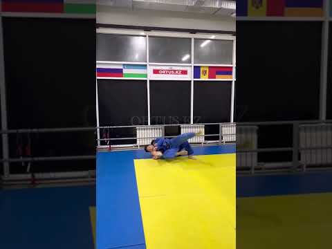 Дзюдо отработка технических