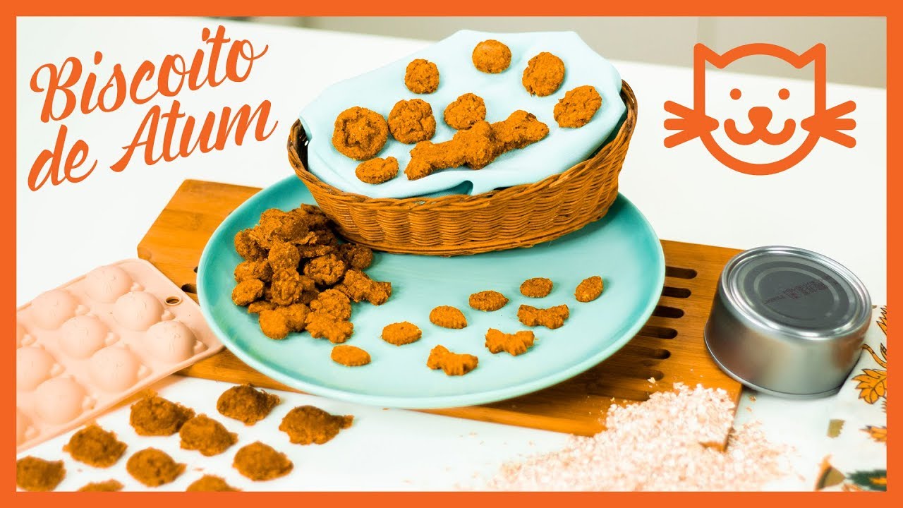 BISCOITO DE ATUM PARA GATOS SAUDÁVEL COMIGO
