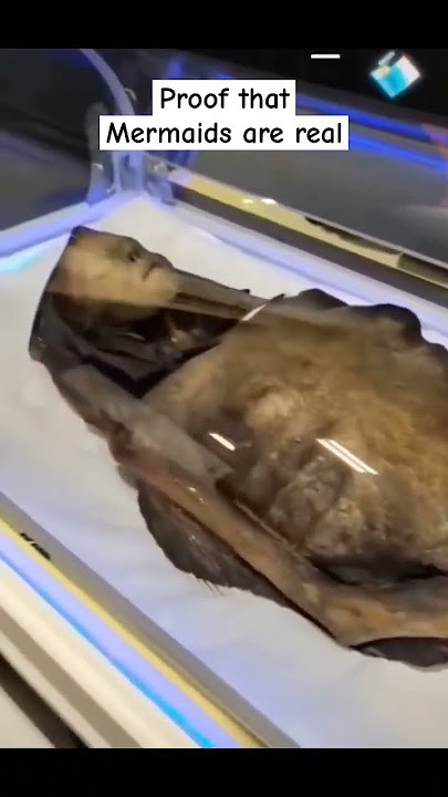 Do you believe that? #mermaid #proof #real #mermaids #scary #creepy #shorts #trending #viral #video