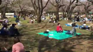 Yoyogi Park, Mar. 21, 2020