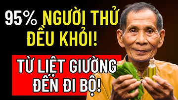 LÁ LỐT + DẦU DỪA: CÔNG THỨC CỤ ÔNG 99 TUỔI GIÚP 95% NGƯỜI GIÀ VẬN ĐỘNG DỄ, XƯƠNG CHẮC!