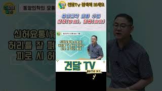 [건달TV] 동양의학의 요통 구분 - 신허(腎虛), 담음(痰飮) #신허요통#담음요통#건달TV#건강정보