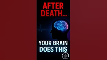 What Happens to Your Brain When You Die? #shorts #science