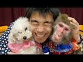 アニマルトレーナーになって一番つらい決断…この子たちが大好きだから。
