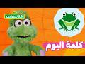 أهل ا سمسم  كلمة اليوم مع أميرة   ضفدع دندنها