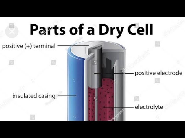 Draw a well labelled diagram of a dry cell and explain its construction.