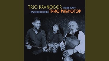 Sednal mi star svekár (feat. Todor Bakoev)