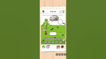 Brain test level 139 , Brain out , How many spiders are there?
