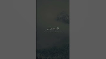الشيخ محمد صديق المنشاوي 🌺 سورة هود