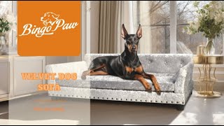 P-XD1278 Bingopaw high-end dutch velvet dog sofa show video #dogbeds #bingopaw #dogbed #doglover by Bingopaw 7 views 2 months ago 45 seconds