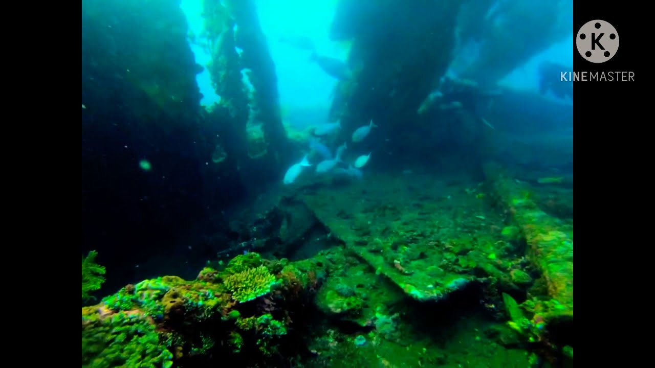 SCUBA DIVING IN TULAMBEN WRECK U.S LIBERTY SHIP